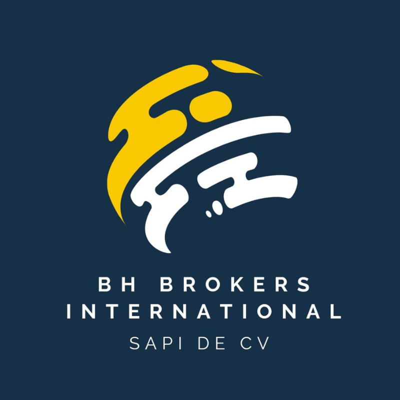 BH BROKERS INTERNATIONAL SAPI DE CV